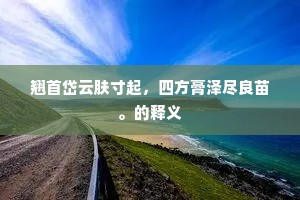 翘首岱云肤寸起，四方膏泽尽良苗。的释义