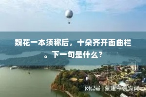 魏花一本须称后，十朵齐开面曲栏。下一句是什么？