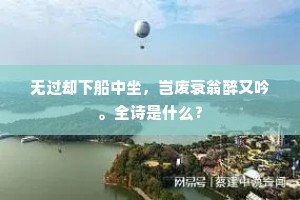 无过却下船中坐，岂废衰翁醉又吟。全诗是什么？