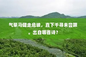 气豪马健走危坡，直下千寻未尝蹶。出自哪首诗？