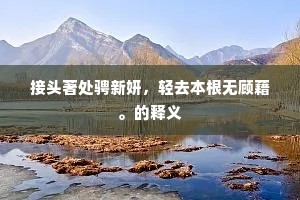 接头著处骋新妍，轻去本根无顾藉。的释义