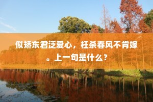 似矫东君泛爱心，枉杀春风不肯嫁。上一句是什么？
