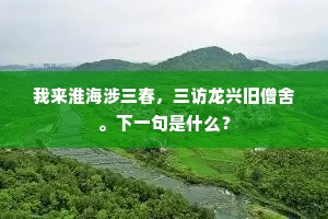 我来淮海涉三春，三访龙兴旧僧舍。下一句是什么？