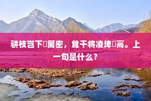 骈枝岂下笓篱密，耸干将凌埤堄高。上一句是什么？