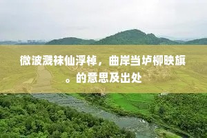 微波溅袜仙浮棹，曲岸当垆柳映旗。的意思及出处
