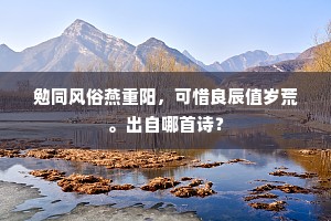 勉同风俗燕重阳，可惜良辰值岁荒。出自哪首诗？