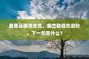 叠叠云根渍古苔，烟峦随指在庭阶。下一句是什么？