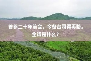 曾参二十年前会，今备台司得再陪。全诗是什么？