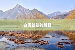白雪皑皑的解释