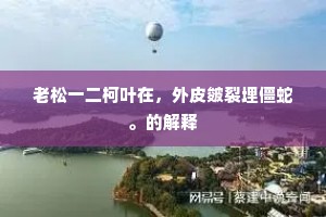 老松一二柯叶在，外皮皴裂埋僵蛇。的解释