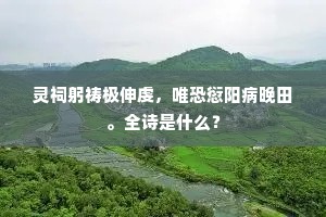 灵祠躬祷极伸虔，唯恐愆阳病晚田。全诗是什么？
