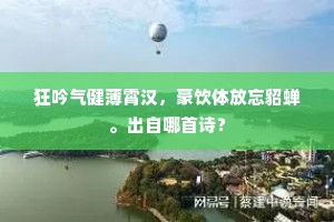 狂吟气健薄霄汉，豪饮体放忘貂蝉。出自哪首诗？