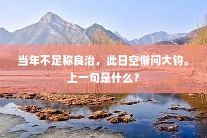 当年不足称良治，此日空惭问大钧。上一句是什么？