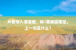 从兹渐入清凉境，林嘒寒蝉露暧空。上一句是什么？