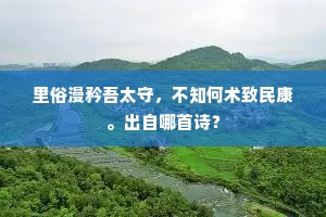 里俗漫矜吾太守，不知何术致民康。出自哪首诗？