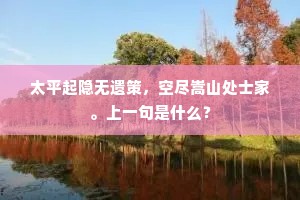 太平起隐无遗策，空尽嵩山处士家。上一句是什么？