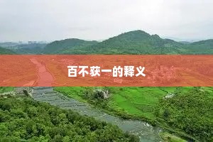 百不获一的释义