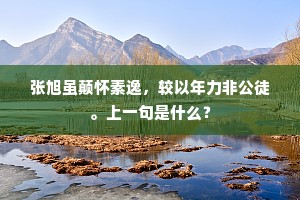 张旭虽颠怀素逸，较以年力非公徒。上一句是什么？