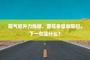 阳气初升力尚微，雪花来促故阴归。下一句是什么？