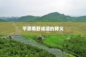 平原易野成语的释义