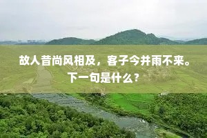 故人昔尚风相及，客子今并雨不来。下一句是什么？