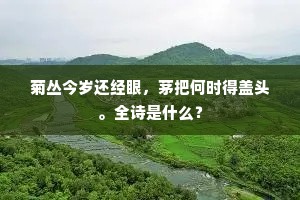 菊丛今岁还经眼，茅把何时得盖头。全诗是什么？
