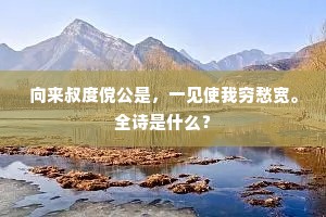 向来叔度傥公是，一见使我穷愁宽。全诗是什么？