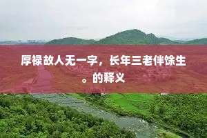 厚禄故人无一字，长年三老伴馀生。的释义