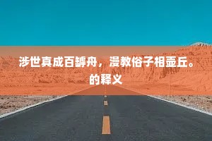 涉世真成百罅舟，漫教俗子相壶丘。的释义