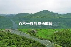 百不一存的成语解释