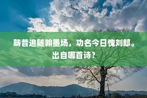 畴昔追随翰墨场，功名今日愧刘郎。出自哪首诗？