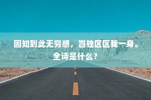 固知到此无穷感，岂独区区我一身。全诗是什么？