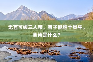 无官可缓三人带，有子能胜十具牛。全诗是什么？