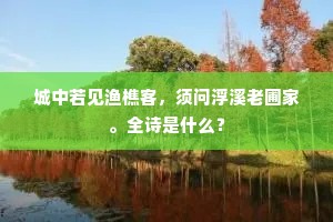 城中若见渔樵客，须问浮溪老圃家。全诗是什么？
