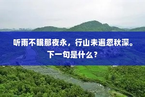 听雨不眠那夜永，行山未遍忽秋深。下一句是什么？