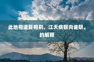 此地相逢复相别，江天病眼向谁明。的解释