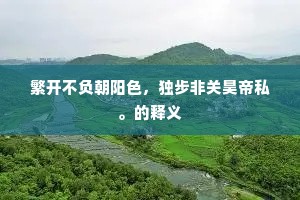 繁开不负朝阳色，独步非关昊帝私。的释义