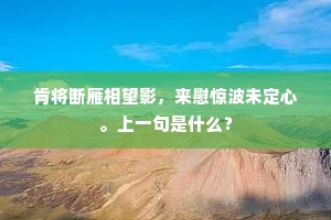 肯将断雁相望影，来慰惊波未定心。上一句是什么？