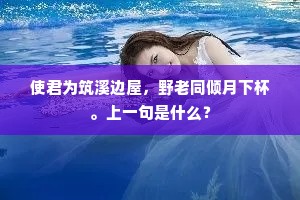 使君为筑溪边屋，野老同倾月下杯。上一句是什么？