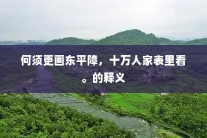 何须更画东平障，十万人家表里看。的释义