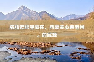 脑脂遮眼空豪在，药裹关心奈老何。的解释