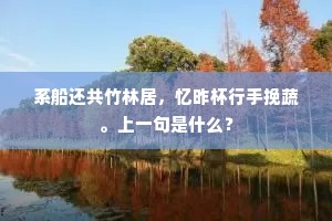 系船还共竹林居，忆昨杯行手挽蔬。上一句是什么？