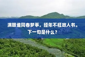 满眼谁同春梦事，经年不枉故人书。下一句是什么？