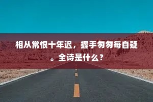 相从常恨十年迟，握手匆匆每自疑。全诗是什么？