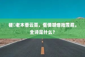 槎枒老木垂云蔓，伛偻胡僧拖雪眉。全诗是什么？