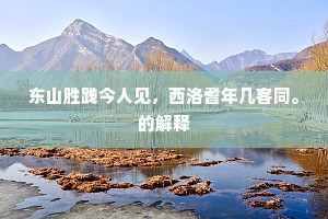 东山胜践今人见，西洛耆年几客同。的解释