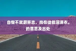 自惭不就磨笄志，尚在徒能泪满衣。的意思及出处