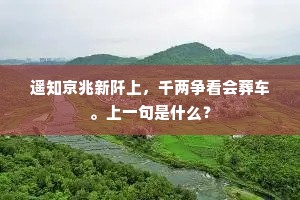 遥知京兆新阡上，千两争看会葬车。上一句是什么？
