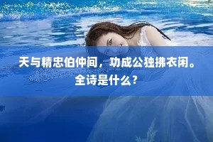 天与精忠伯仲间，功成公独拂衣闲。全诗是什么？