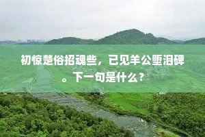 初惊楚俗招魂些，已见羊公堕泪碑。下一句是什么？